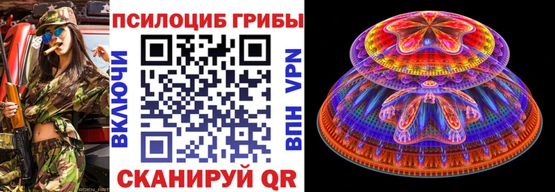 hydra зеркало  Волгодонск  Галлюциногенные грибы Cubensis  цены  